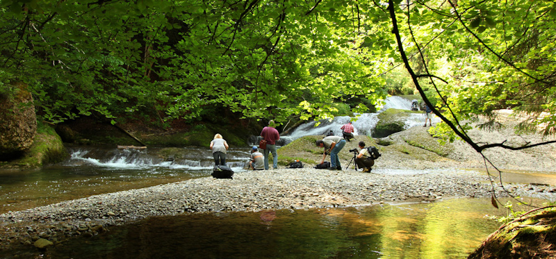 Fotografen in Action 066